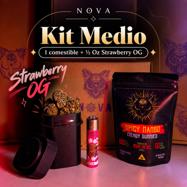 Kit Medio